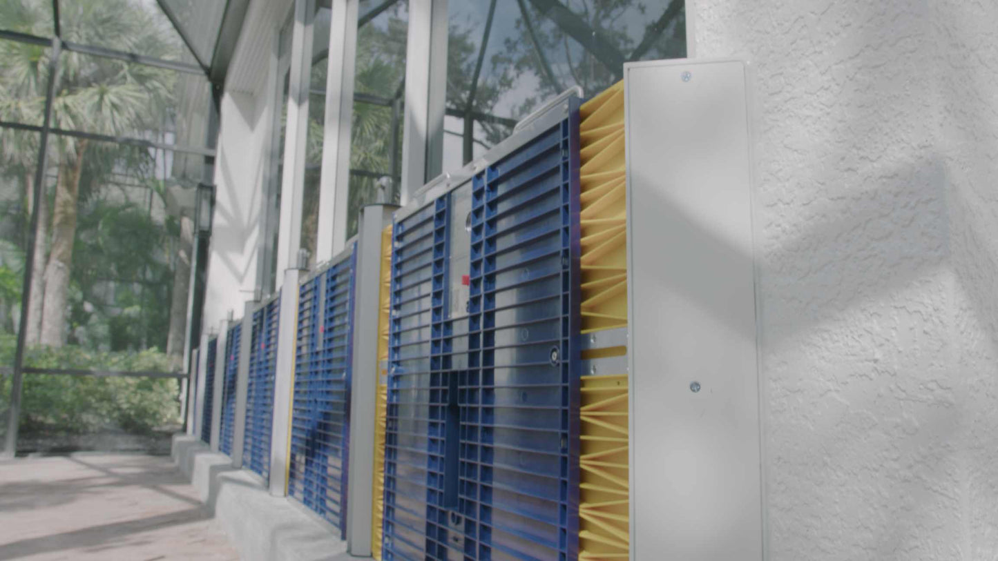 Dam Easy Dam Jam (Artificial Reveal) - Dam Easy